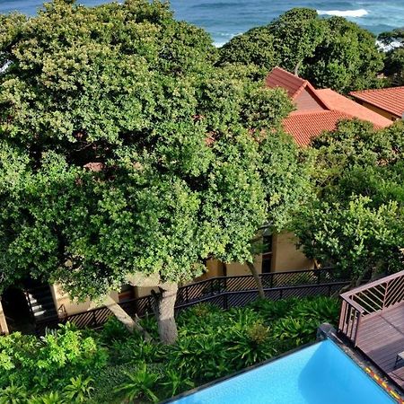 Anew Hotel Ocean Reef Zinkwazi מראה חיצוני תמונה